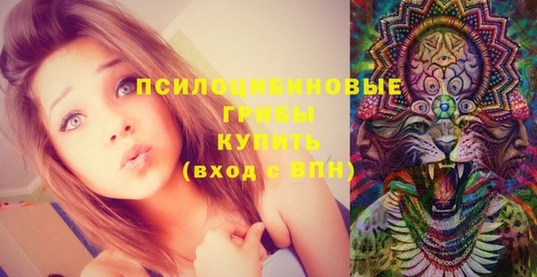 индика Алексин