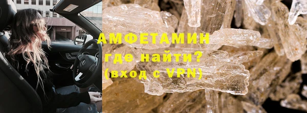 индика Алексин